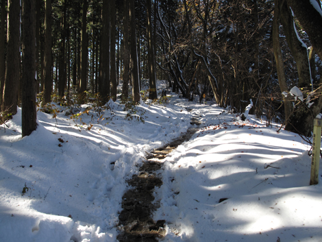 20161125hike (179)